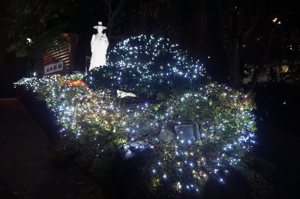 DSC07747.JPG