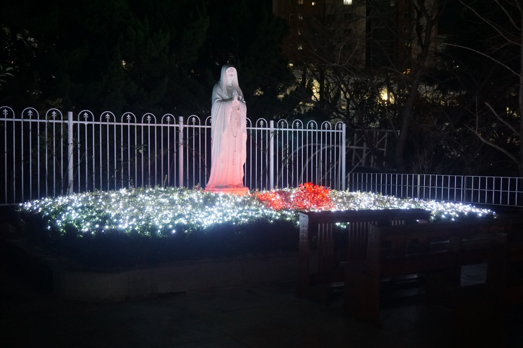 DSC07720.JPG