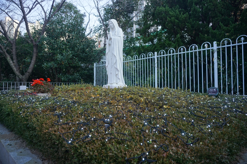 DSC07711.JPG
