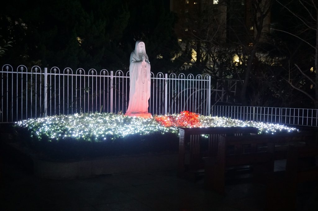 DSC07719.JPG