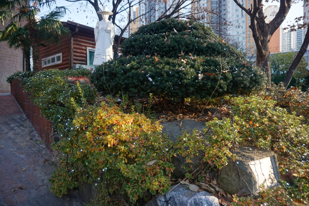 DSC07706.JPG