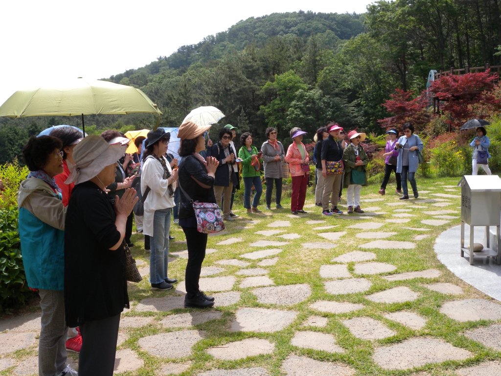 DSCN5772.JPG