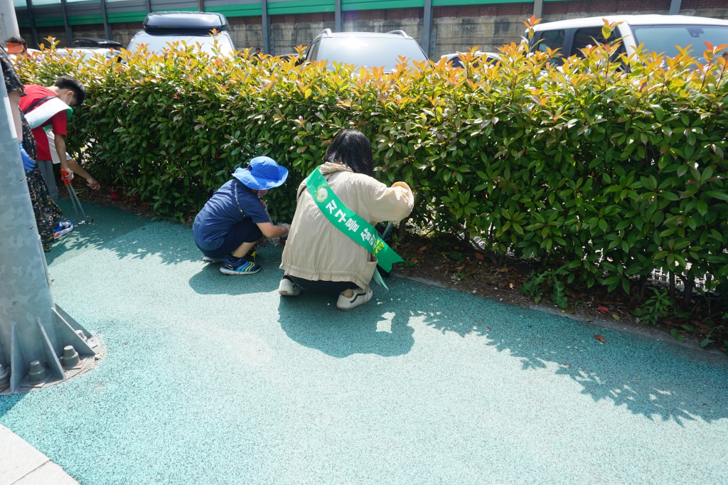 DSC06510.JPG