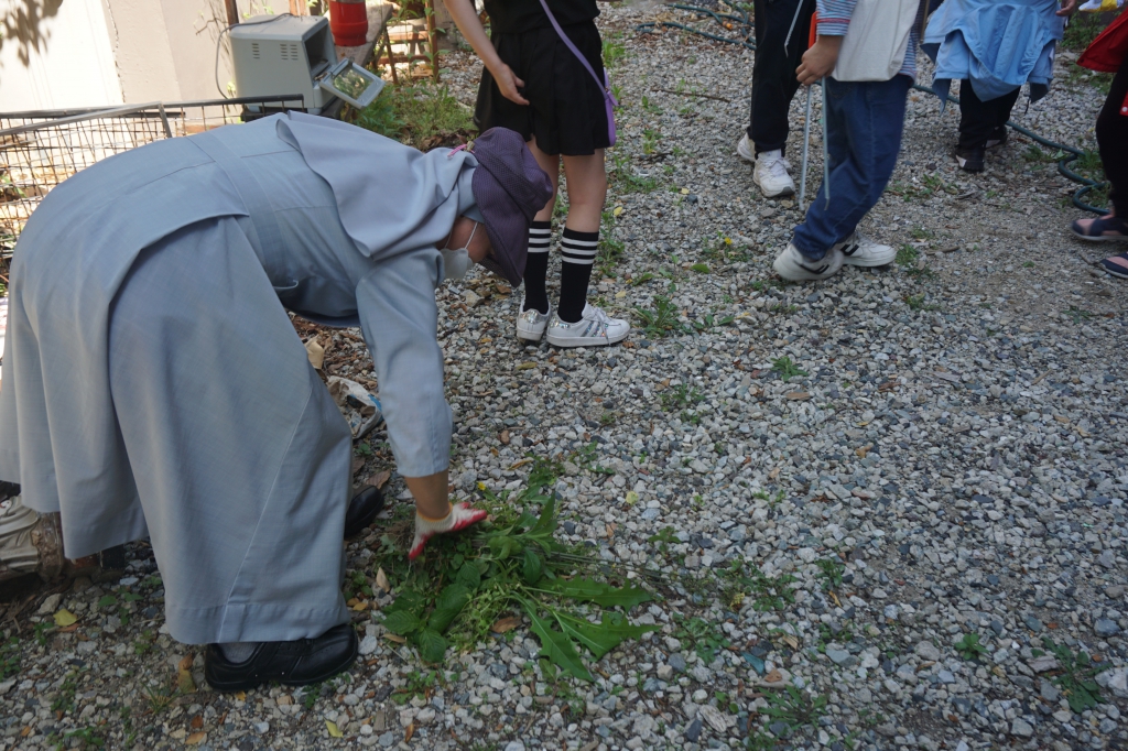 DSC05859.JPG