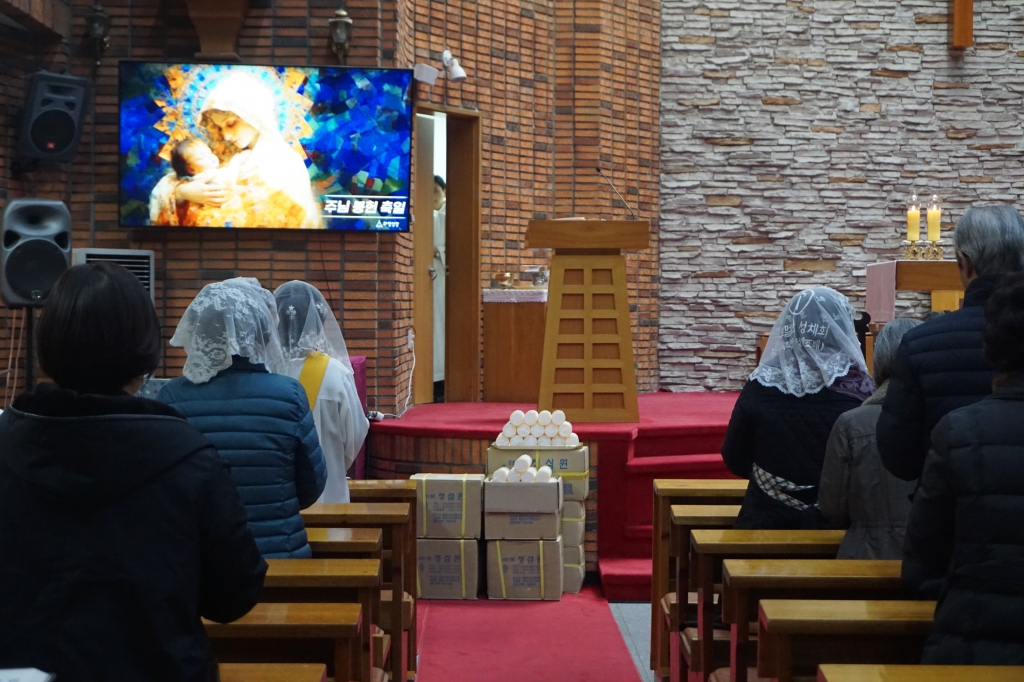 DSC08175.JPG