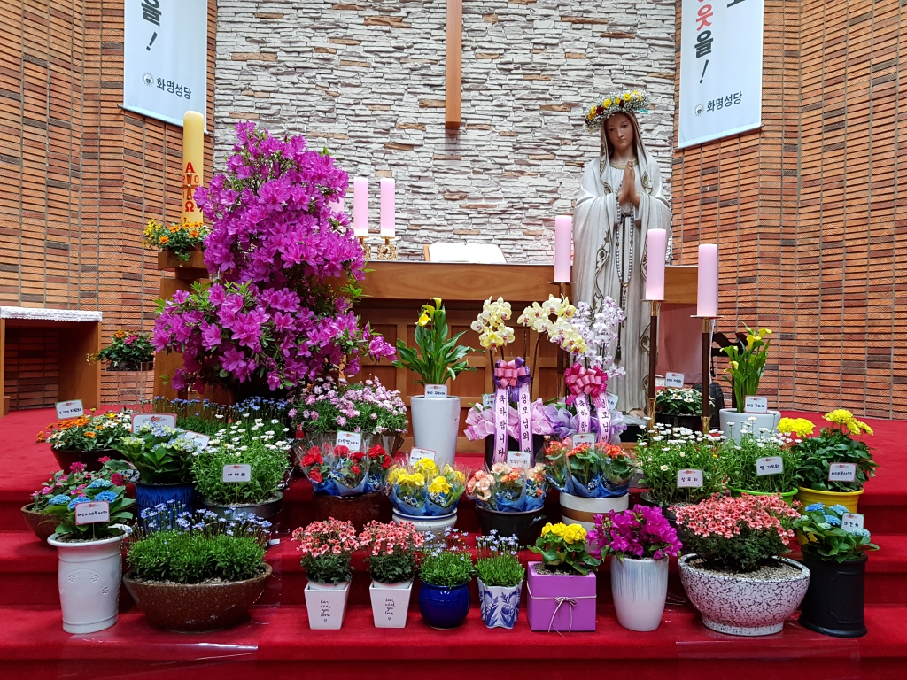 20180504_222553.jpg