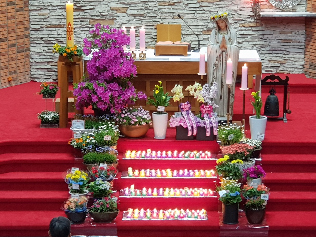 20180504_205006.jpg