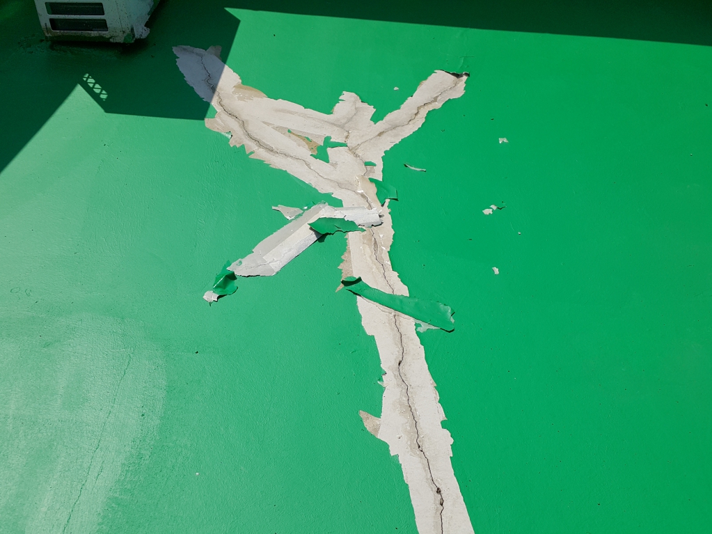 20170908_104857.jpg