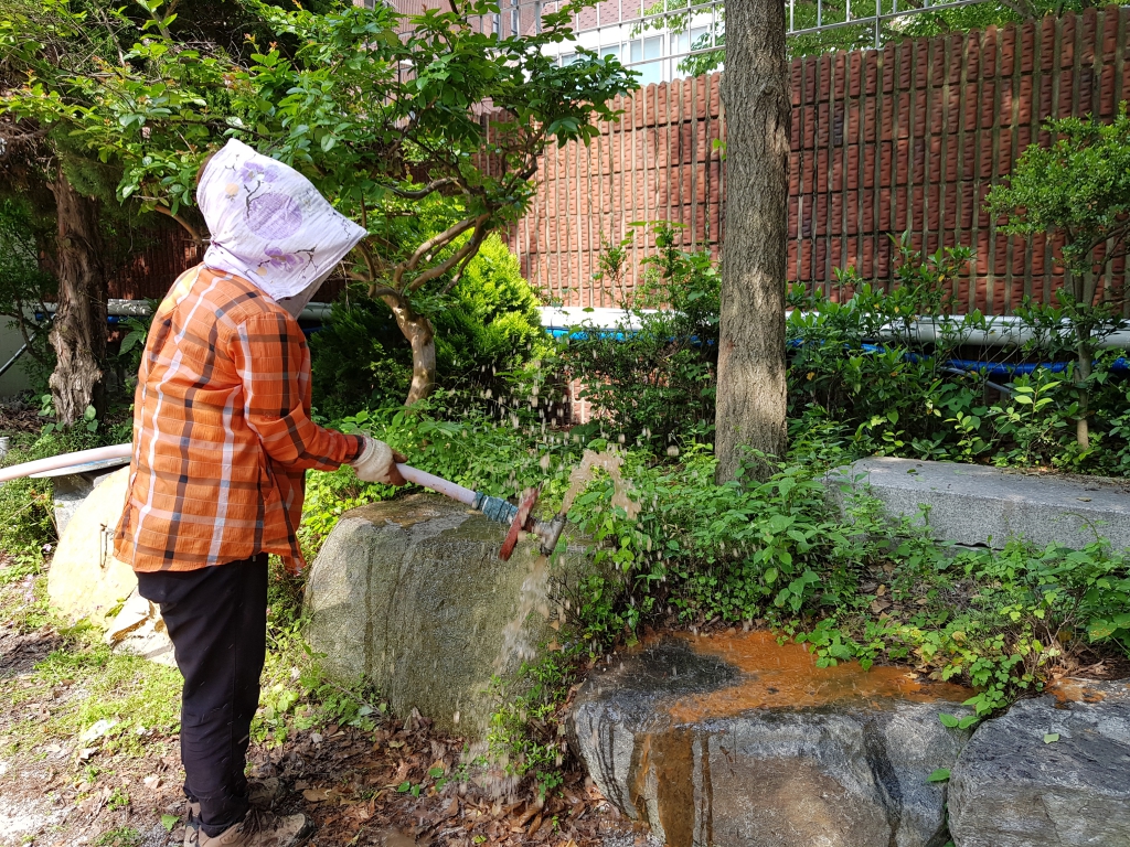 20180529_152758.jpg