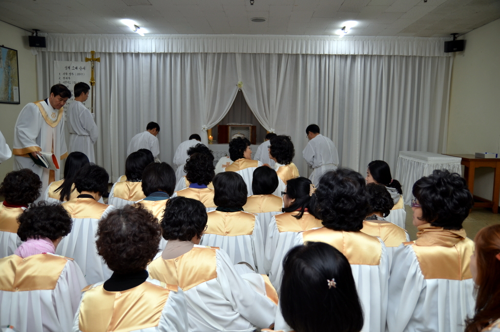 DSC_7445.JPG