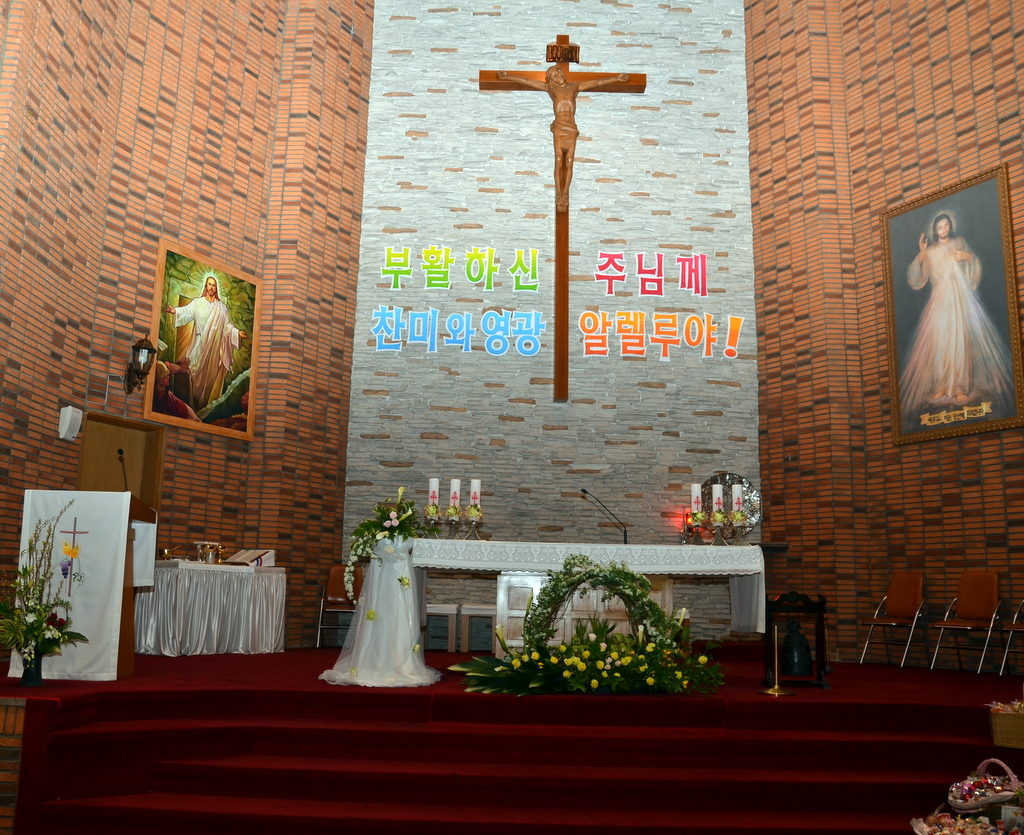 DSC_7461.JPG
