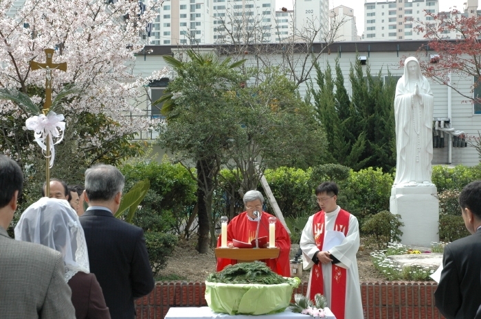 성지주일.jpg