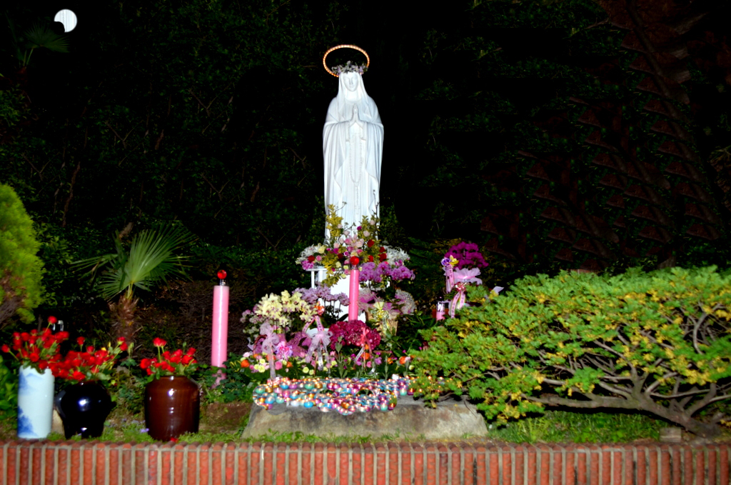 DSC_2463-1.jpg