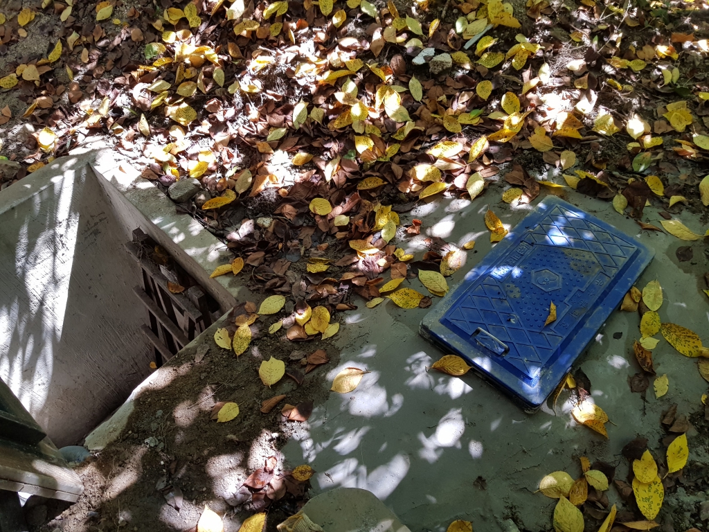 20190917_131147.jpg