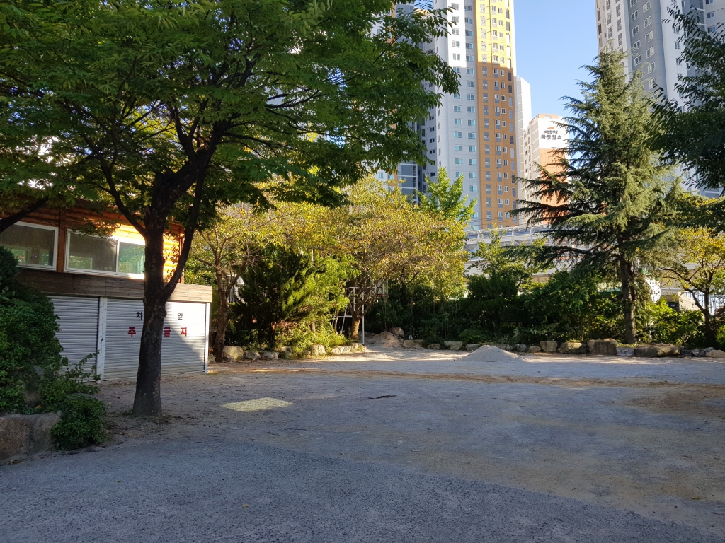 20190917_162032.jpg