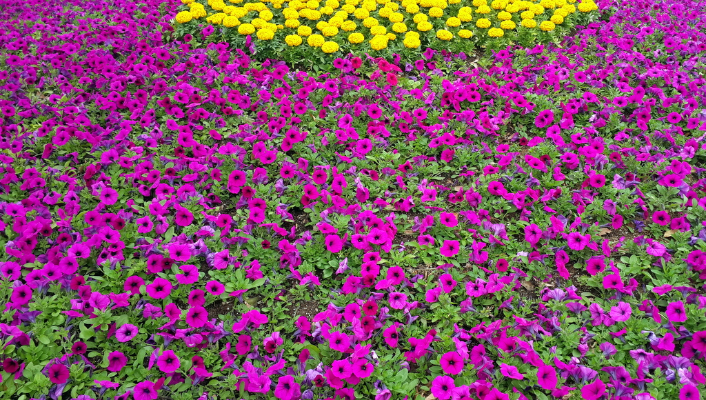 20130509_110427.jpg