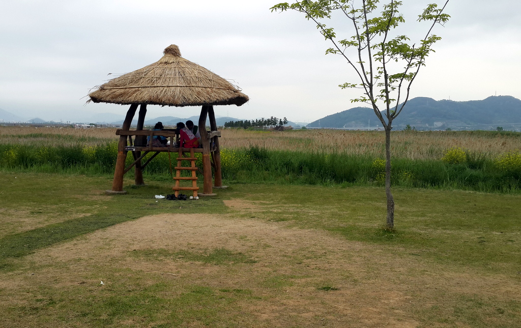 20130509_115313.jpg