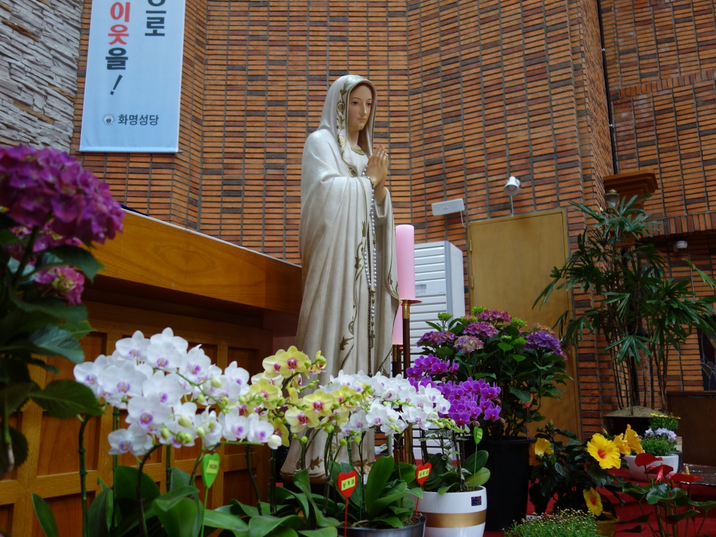 DSC02419.JPG