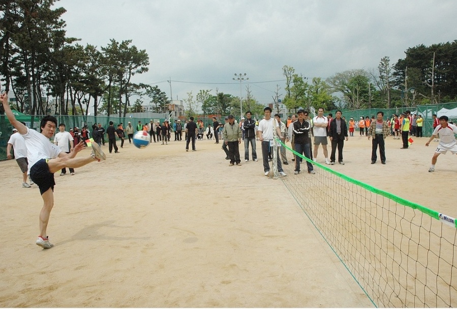 7지구 족구대회.jpg