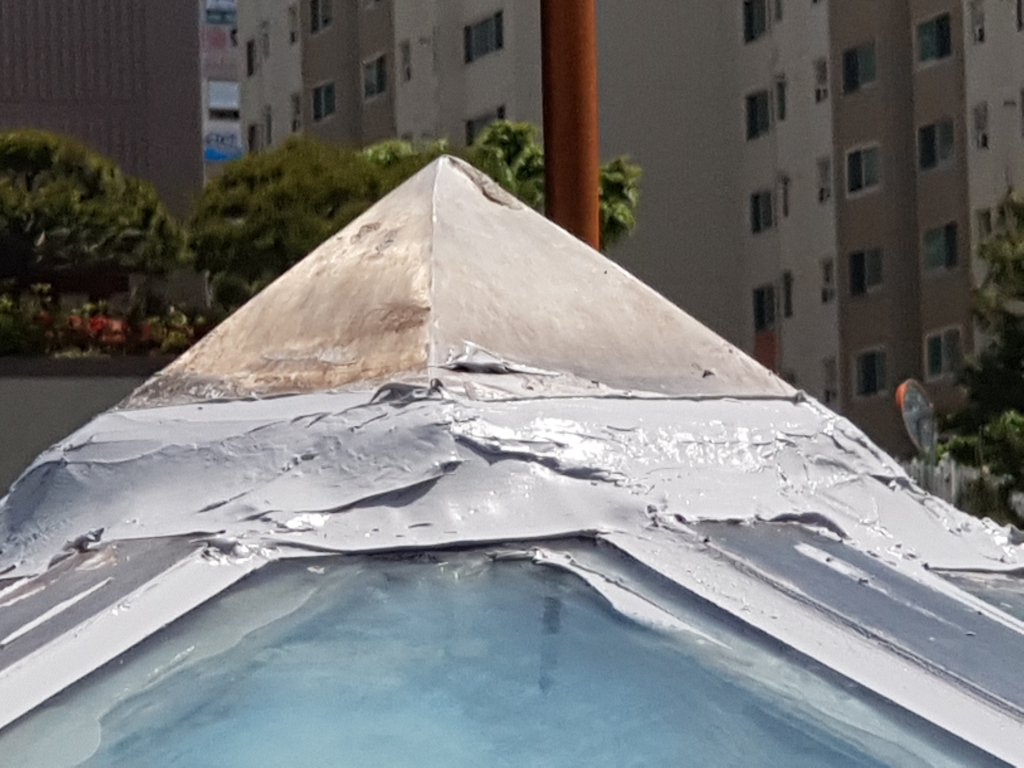20190502_115907.jpg