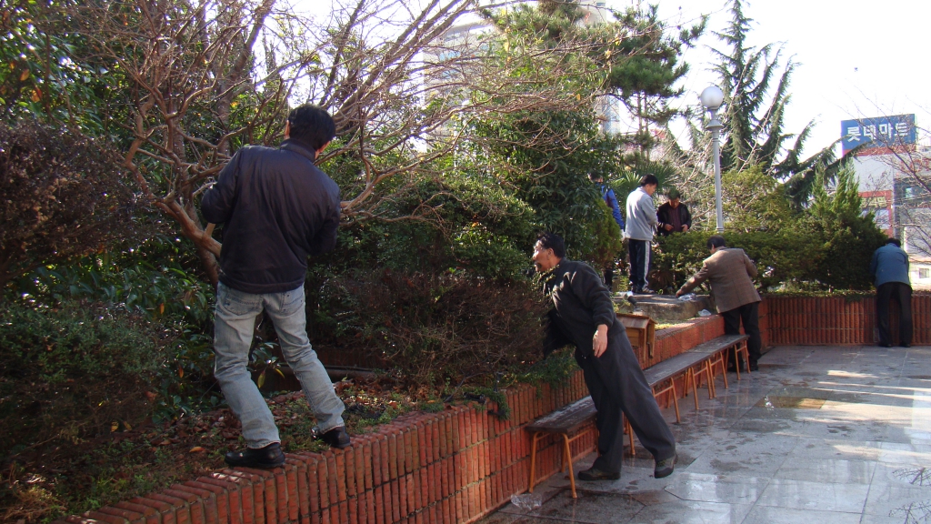 DSC08906.JPG