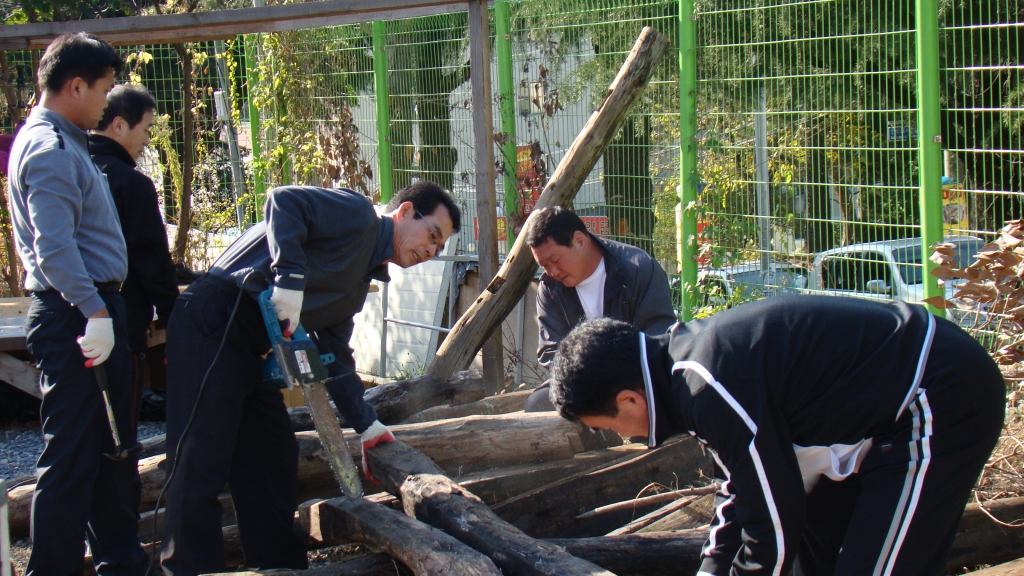 DSC08917.JPG