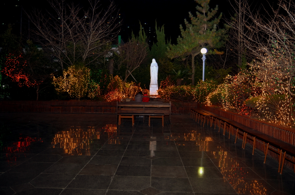 1-DSC_7714.JPG