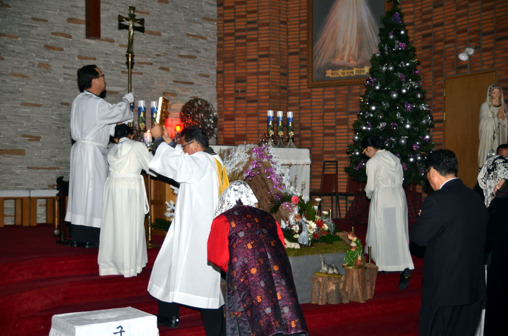 1-DSC_7729.JPG