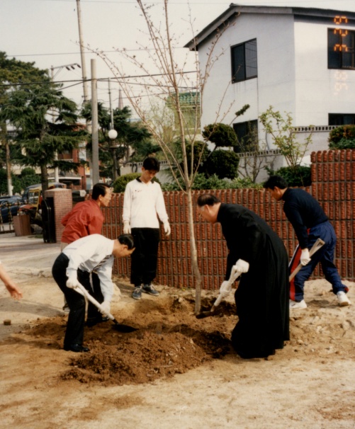 식목.jpg