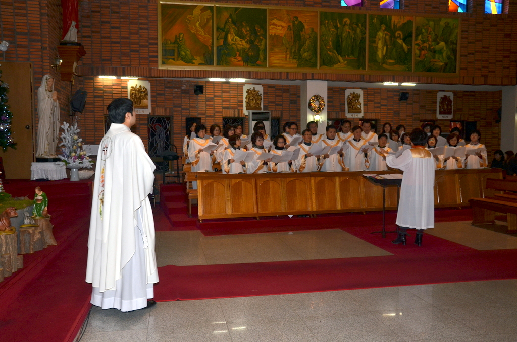 1-DSC_7785.JPG