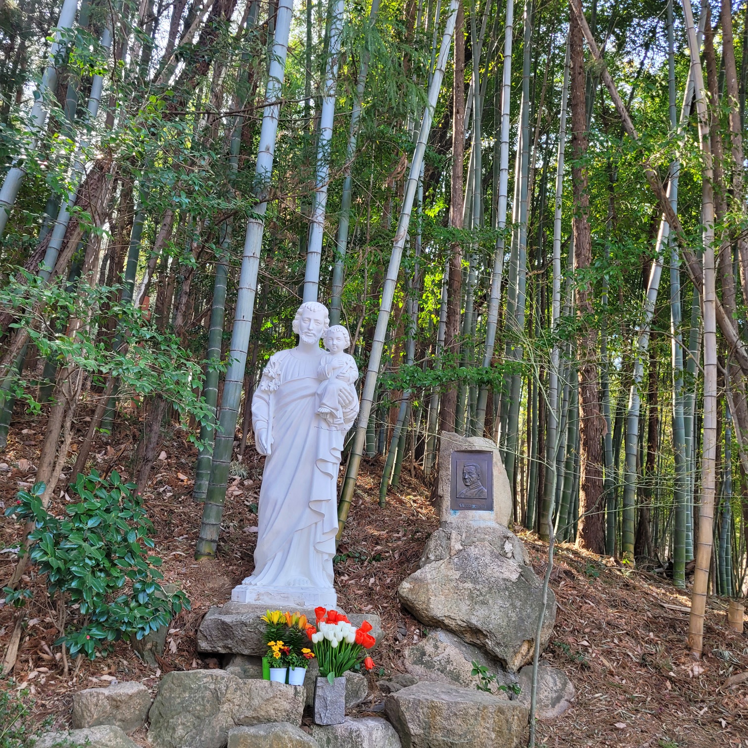 KakaoTalk_20250330_092905224_07.jpg