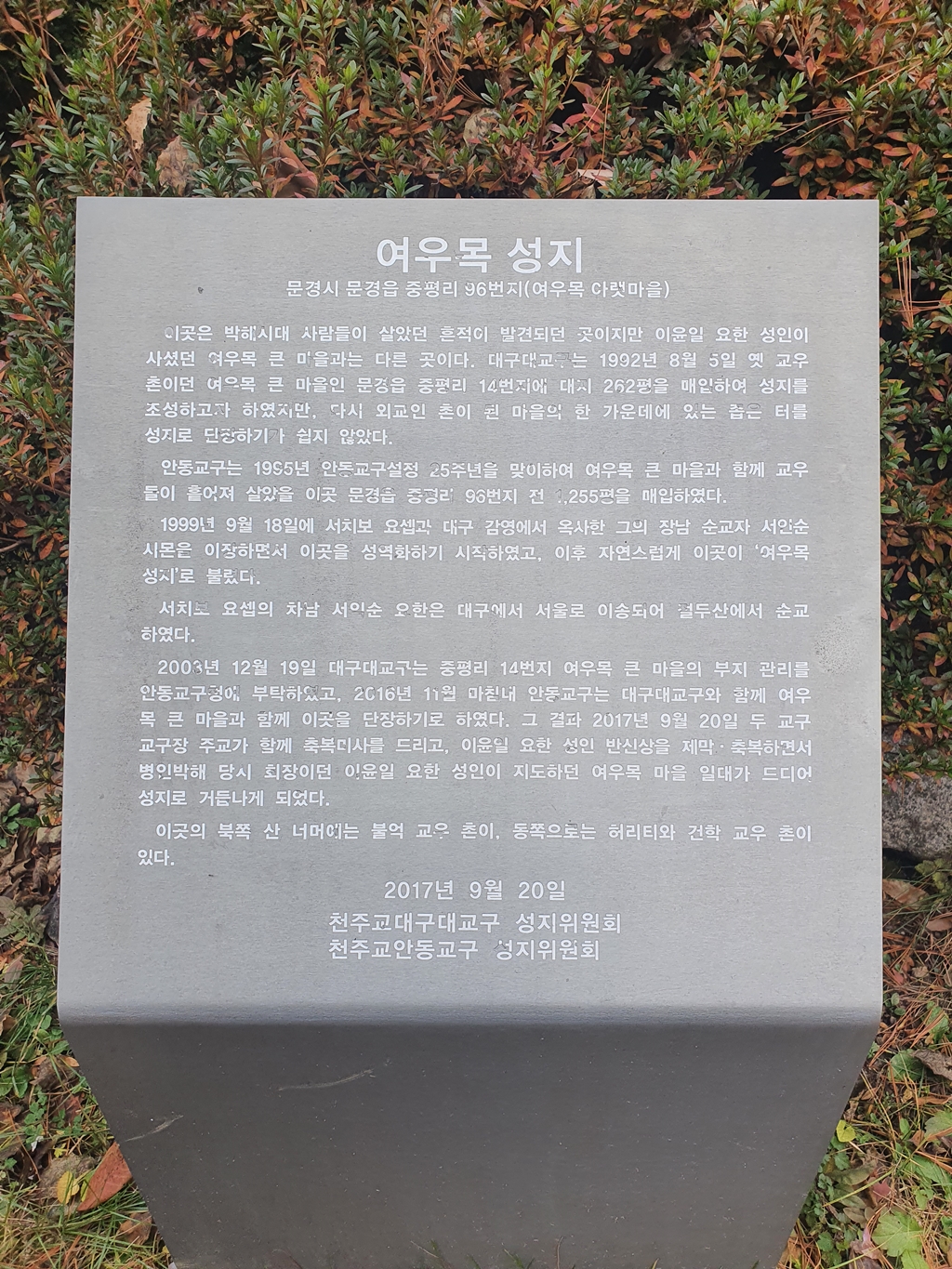 1 (15).jpg