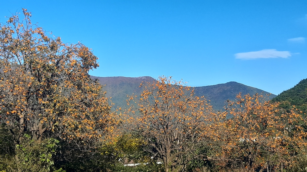 20221022_152937.jpg