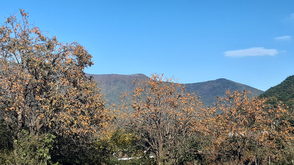 20221022_152940.jpg