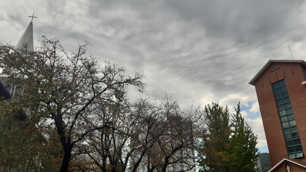 20221022_104636.jpg