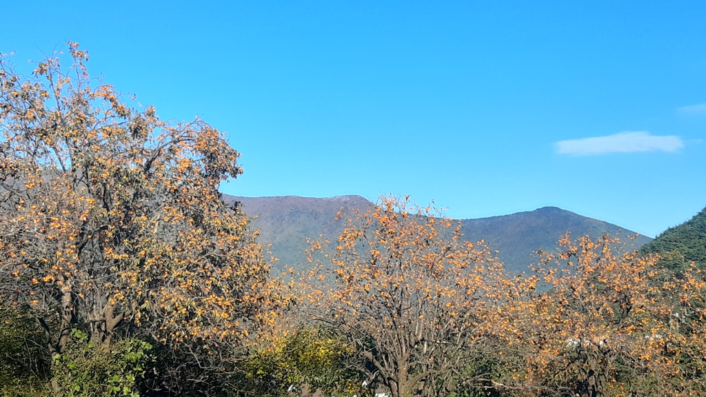 20221022_152934.jpg
