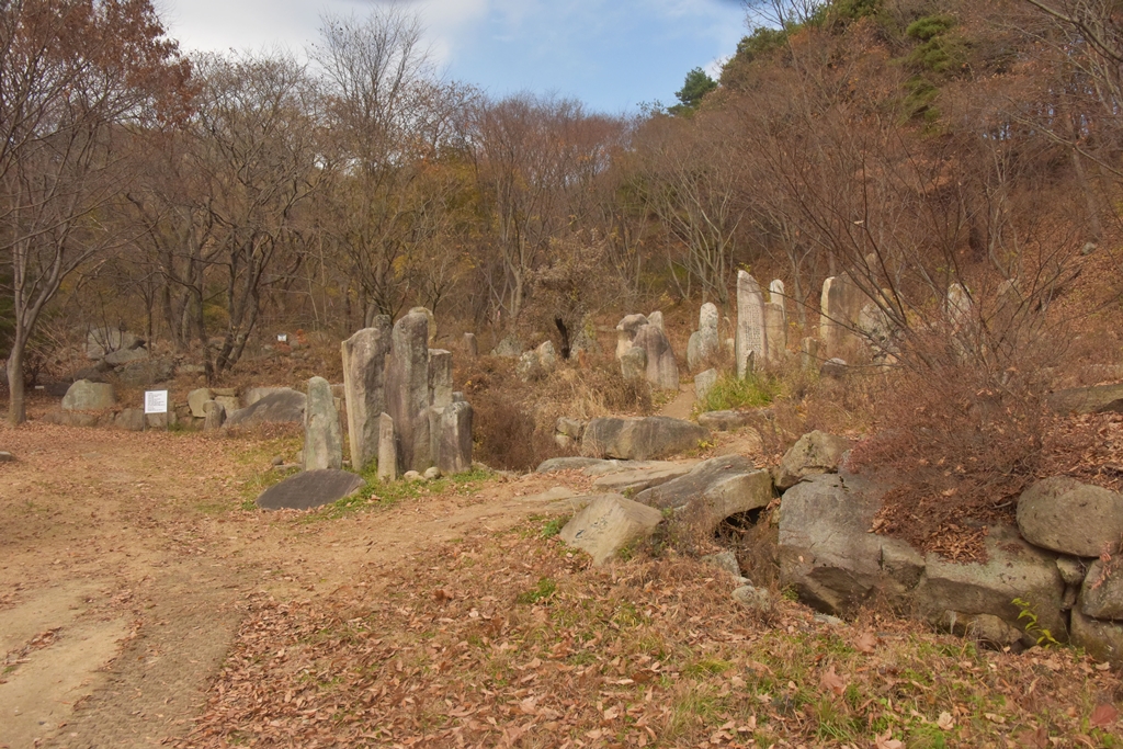 DSC_7376.JPG