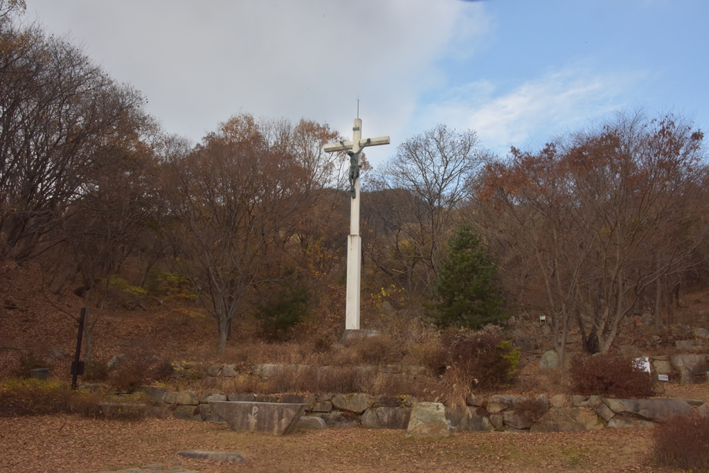 DSC_7385.JPG