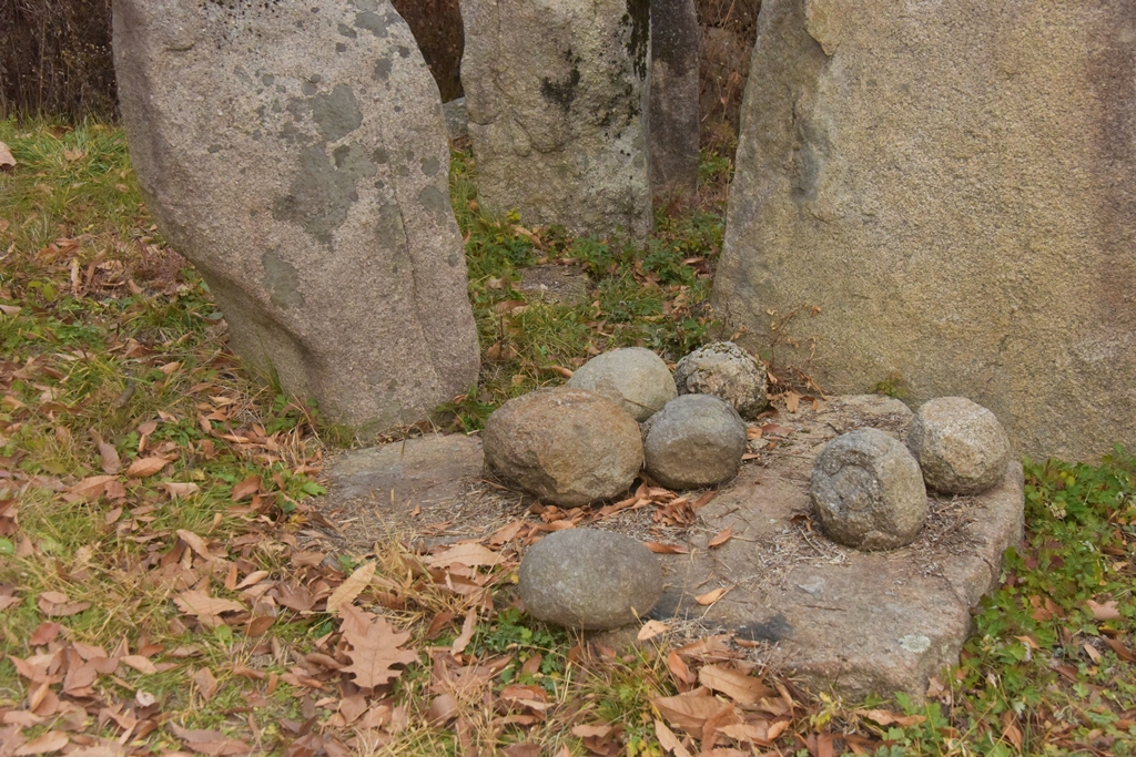 DSC_7389.JPG