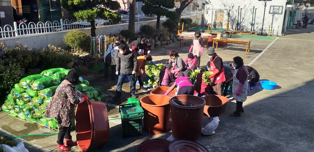 배추절이기 (5).jpg