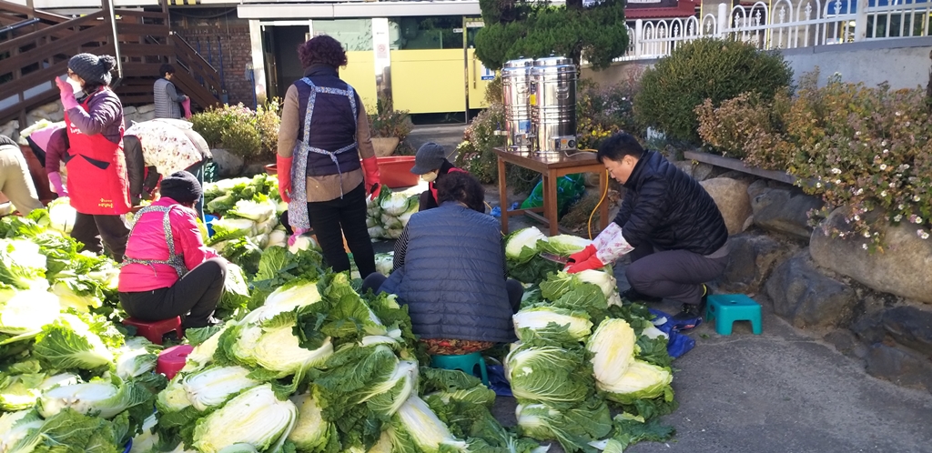배추절이기 (8).jpg