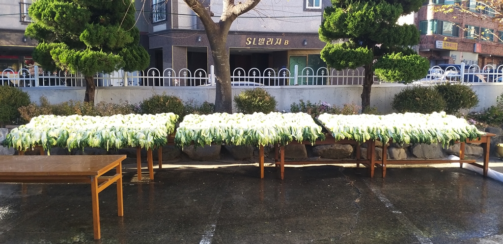 KakaoTalk_20231202_170645720_09.jpg