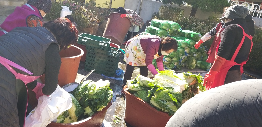 배추절이기 (7).jpg