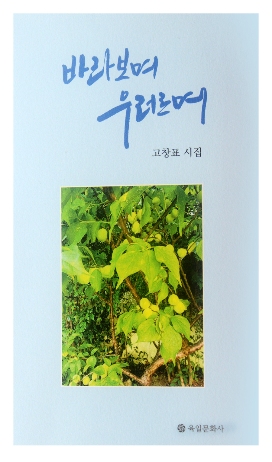 바라보며 우르러며 고창표.jpg
