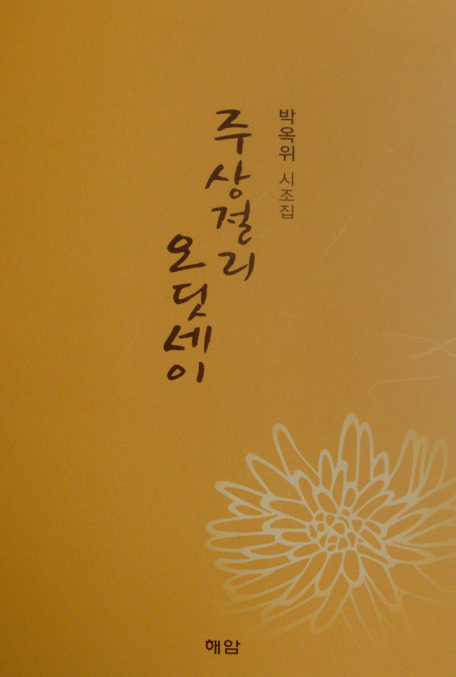 주상절리오딧세이.jpg