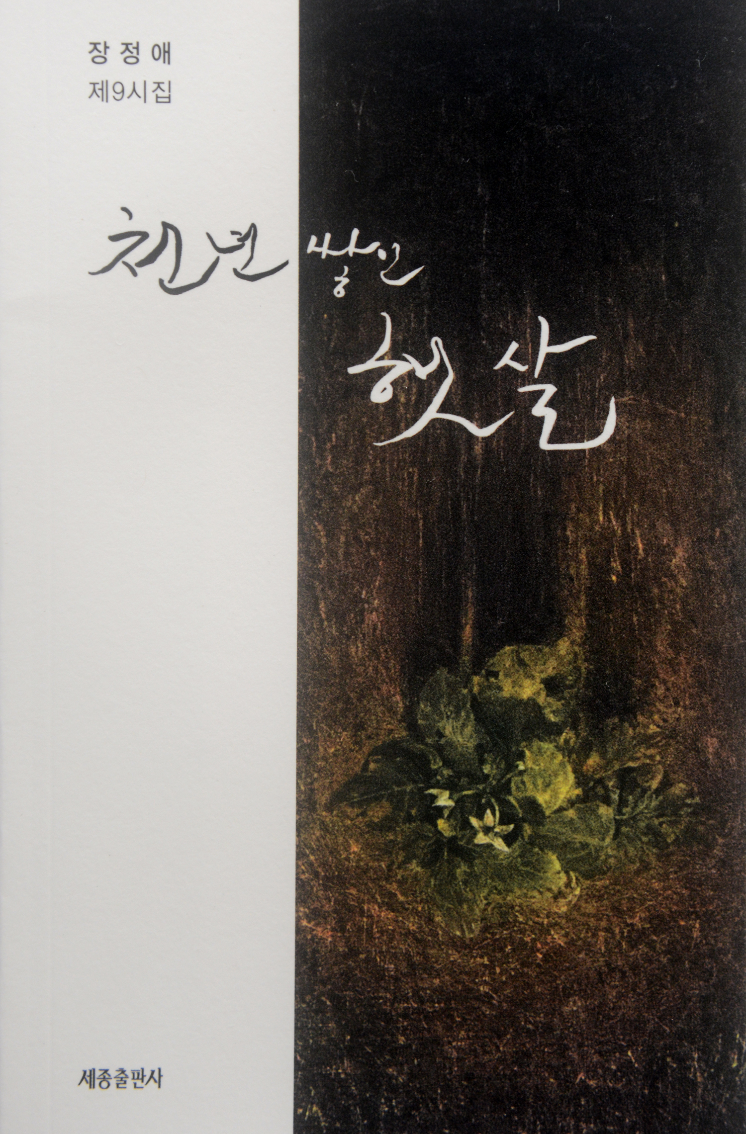 장정애9시집.jpg