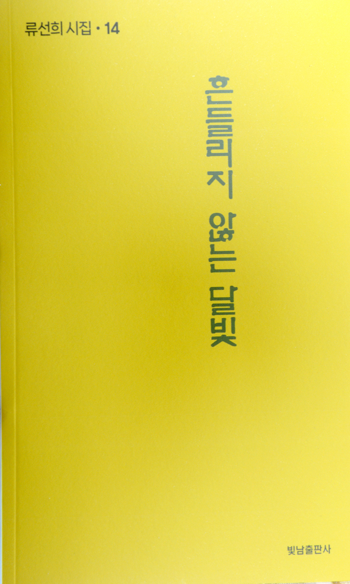 흔들리지않는달빛류선희.jpg