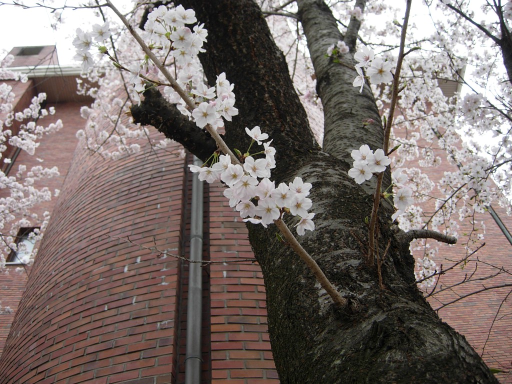 DSCN5323.JPG