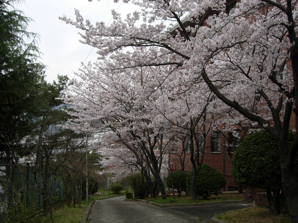 DSCN5315.JPG