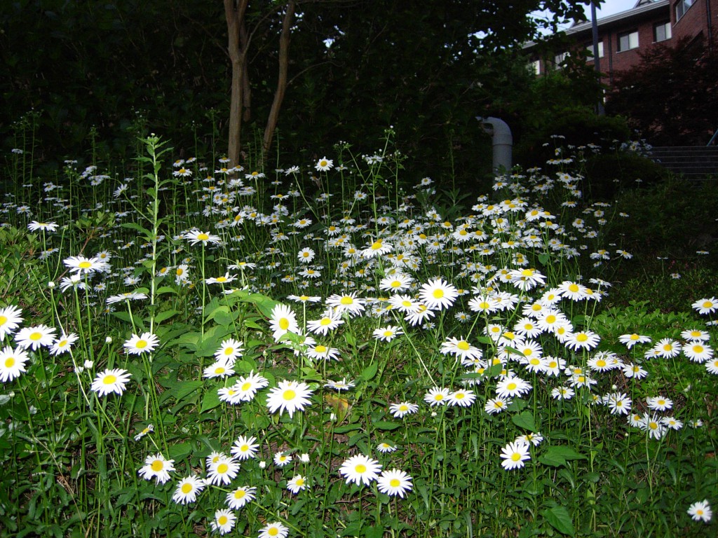 DSCN5459.JPG